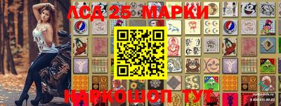 индика Моздок