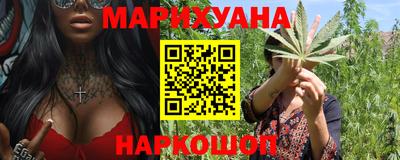 индика Моздок