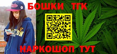 индика Моздок