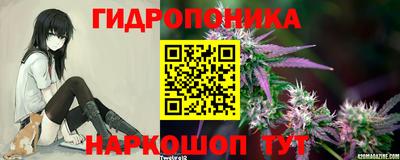 индика Моздок