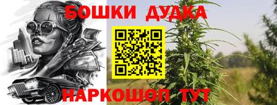 индика Моздок