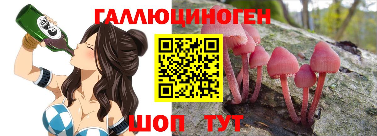 Псилоцибиновые грибы прущие грибы  Вход с VPN  даркнет сайт  Псилоцибиновые грибы Cubensis  Фролово 